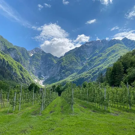 Pian Dei Tass Barcis