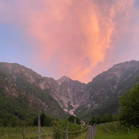 Pian Dei Tass Alloggio per agriturismo