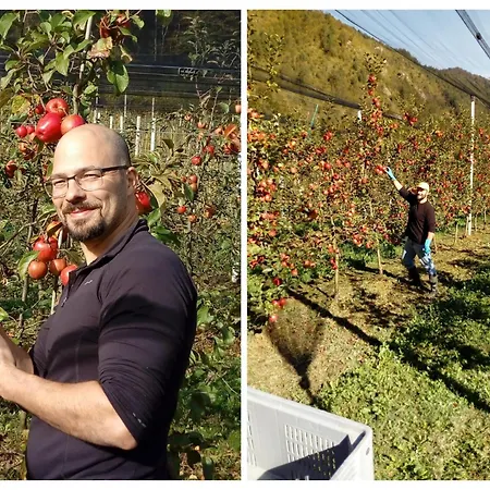 Alloggio per agriturismo Pian Dei Tass