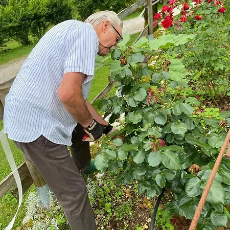 Pian Dei Tass Séjour à la ferme *