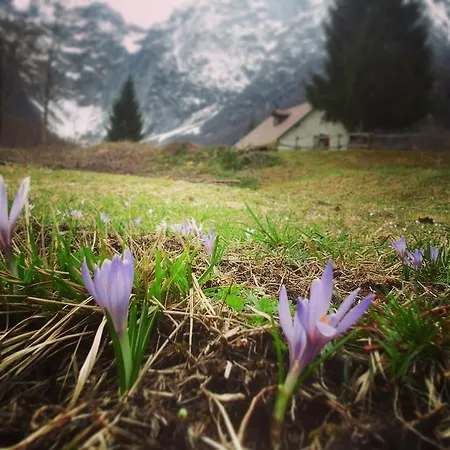 Pian Dei Tass Barcis
