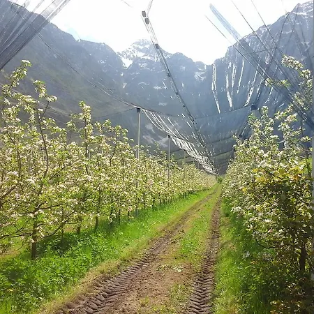 Séjour à la ferme Pian Dei Tass Barcis